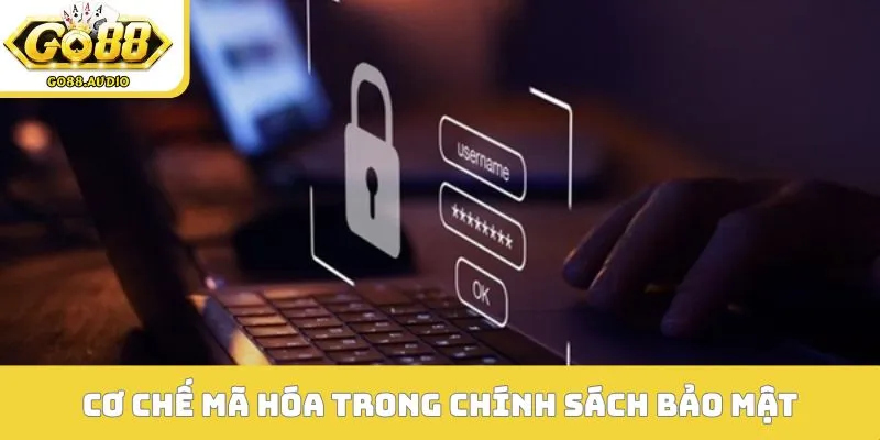 Cơ chế mã hóa xanh chín trong chính sách bảo mật
