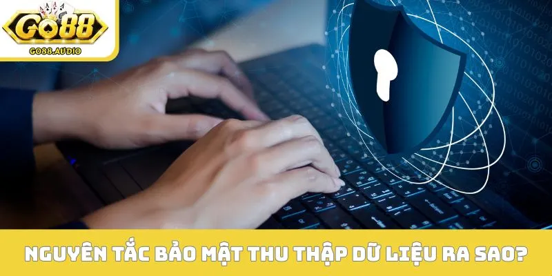 Nguyên tắc bảo mật thu thập dữ liệu ra sao?